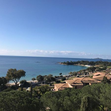 Superbe Appartement T2 Vue Magnifique Sanguinaires A 50M De La Plage Ajaccio  Exterior foto